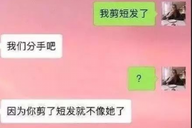 周宁周宁的要账公司在催收过程中的策略和技巧有哪些？